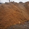 Sprzedam biomasę z przemysłu celulozowego - zdjęcie 4