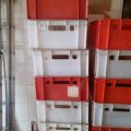 Skrzynki plastikowe - 55 sztuk, po 5 zł za sztukę - zdjęcie 2