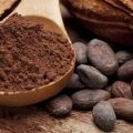 Świeże ziarna kakao z Ameryki Południowej