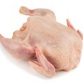 Mrożony kurczak grillowy kalibrowany na sucho - Doskonały wybór