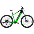 Paleta 6x Rower elektryczny E-Taurus 1.0 29 rama 17 czarny-zielony