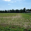 Skoczów Ochaby 3,2 ha z częścią budowlaną i pod usługi nieuciążliwe - zdjęcie 2