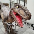 Dinozaur Raptor - zdjęcie 3