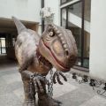Dinozaur Raptor - zdjęcie 2