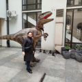 Dinozaur Raptor