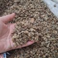 Arabika i Robusta z Indonezji - nowy zbiór 2025r. - zdjęcie 2