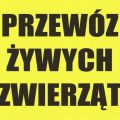 Licencja Kierowcy/opiekuna przy transporcie zwierząt - kurs on-line