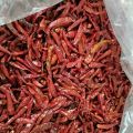 Chilli z Wietnamu