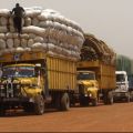 Skup Mercedes Axor Actros naczepy Schmitz Krone Lamberet Chereau Kogel