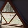 Poszukiwany inwestor oraz dystrybutorzy innowacyjnych domków z drewna