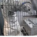 Lakierowanie powierzchni, bębnowe, proszkowe, galwanizacja