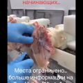 Mamy pracownikow dla twojei firmy - zdjęcie 3