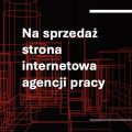 Strona internetowa agencji pracy na sprzedaż