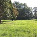 Wyjątkowa oferta dla Milionerów - kujawsko-pomorskie, pałac + stajnia