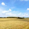 Ogłoszenie inwestycyjne - Trelkowo, gmina Szczytno Działki 15 ha
