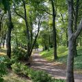 Odrestaurowany pałac -Toruń 70 km - oferta off market