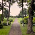 Odrestaurowany pałac -Toruń 70 km - oferta off market - zdjęcie 3