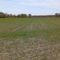Sprzedam tanio 10pln/m2 działkę przemysłową 15560 m2, Góra