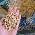 Pellet A1 z czystej trociny sosnowej producent - zdjęcie 2