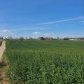 Sprzedam 10 ha ziemi rolnej podzielonej na 32 działki warmińsko maz. - zdjęcie 2