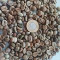 Kawa ziarnista surowa Robusta AA