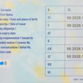 Rekrutacja kierowców ciężarówek - usługa agencji pracy
