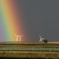 Elektrownia Wiatrowa 900kW