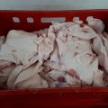 Tłuszcz twardy mrożony sprzedam - zdjęcie 1