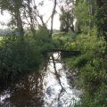 Działka siedliskowa z budynkami w Młyniskach - zdjęcie 4