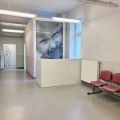Do wynajęcia przestronny lokal użytkowy w centrum Bytomia - zdjęcie 2
