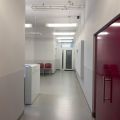 Do wynajęcia przestronny lokal użytkowy w centrum Bytomia - zdjęcie 4