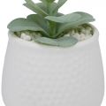 Sztuczna roślina dekoracyjna 12 cm w ceramicznej osłonie z kamykami - zdjęcie 3
