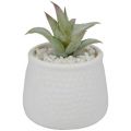 Sztuczna roślina dekoracyjna 12 cm w ceramicznej osłonie z kamykami - zdjęcie 2