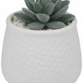 Sztuczna roślina dekoracyjna 12 cm w ceramicznej osłonie z kamykami - zdjęcie 4