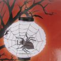 Lampion Halloween czarny i biały - zdjęcie 2