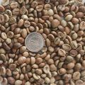 Kawa surowa Robusta AA - zdjęcie 1