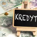 Kredyt bankowy dla spółki zoo bez BIK zarzadu