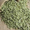 Hurt Zielona Kawa ziarnista Etiopia Djima 5 Arabica 100% -cena 27,5/kg