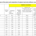 Śruta słonecznikowa od 42,5 % białko (protein), hurt - zdjęcie 3