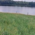 Działka 30000 m z linią brzegową - Mazury - zdjęcie 2