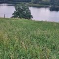 Działka 30000 m z linią brzegową - Mazury - zdjęcie 3