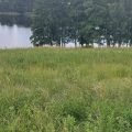Działka 30000 m z linią brzegową - Mazury - zdjęcie 4