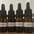 WTS, krople grzybowe Chaga 30 ml