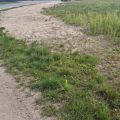 Opole - Ochodze - działki budowlane pod bliźniaki - MPZP - zdjęcie 1