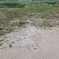 Opole - Ochodze - działki budowlane pod bliźniaki - MPZP - zdjęcie 3