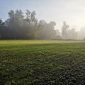 Na sprzedaż: rezydencja pałacowa z parkiem - okolice Warszawy - zdjęcie 2