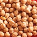 Ciecierzyca (NUT) - hurt, bezpośrednie dostawy z Uzbekistanu - zdjęcie 2