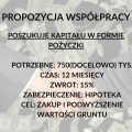 Poszukiwany kapitał w formie pożyczki inwestorskiej - najbezpieczniej - zdjęcie 1