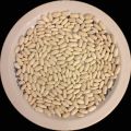 Fasola biała drobna 220-230 ziarno/100g, Import z Egiptu, hurt - zdjęcie 1