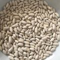 Fasola biała drobna 220-230 ziarno/100g, Import z Egiptu, hurt - zdjęcie 2
